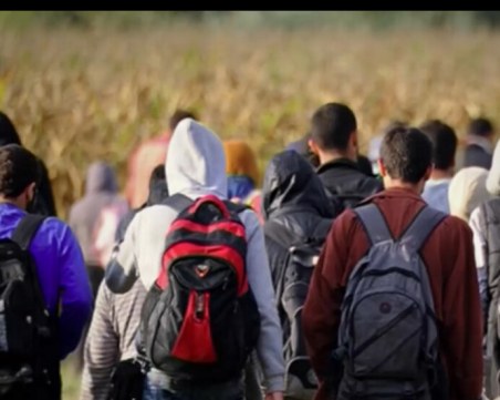 Откриха тялото на мигрантка на границата между Полша и Беларус