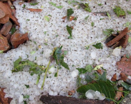 Градушка унищожи напълно реколтата в две села в Хасковско