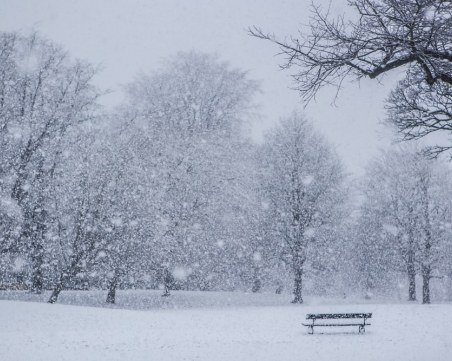 Първи сняг още тази седмица? Синоптици очакват снежинки по високите върхове