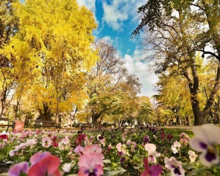 Предимно слънчево в Пловдив днес, градусите се вдигат малко