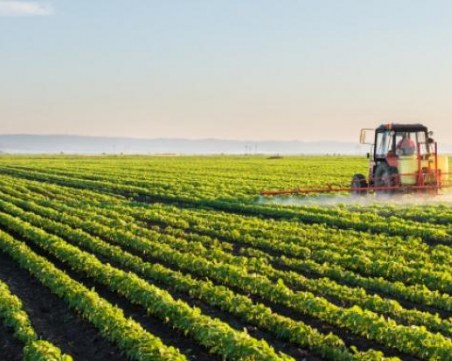 Близо 50 хил. земеделци и животновъди ще бъдат подкрепени със 70 млн. лева заради Ковид кризата