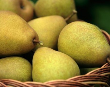 Есенна диета с круши – отслабвате 4 кг за седмица