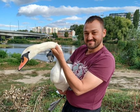 Още един лебед спасен от пловдивчанина герой