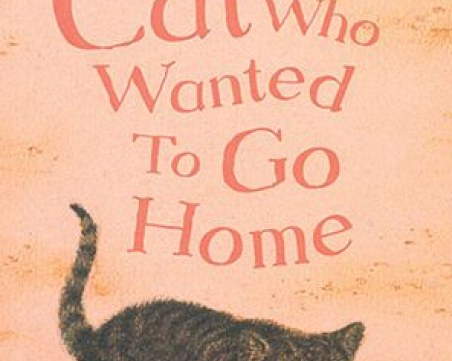 Пловдивчани прибраха породиста котка, изгубена над Марково