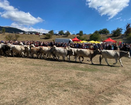 Земеделският министър от Калофер: Говедовъдите и овцевъдите ще получат още 2 млн. лева