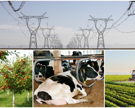 Български производители: Държавата да се намеси спешно, цената на храната ще продължава да расте