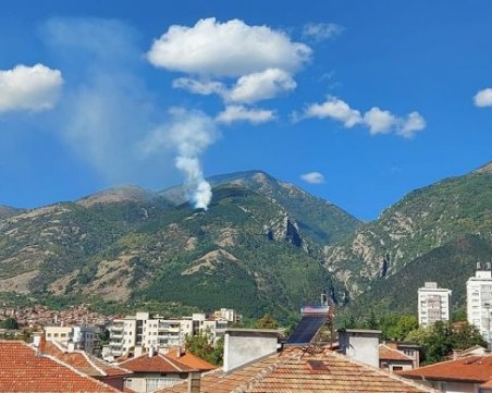 Пожар гори в гората над Карлово