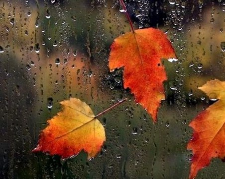 Тази седмица: Температурите падат с 10 градуса, днес си взимаме сбогом с летните градуси