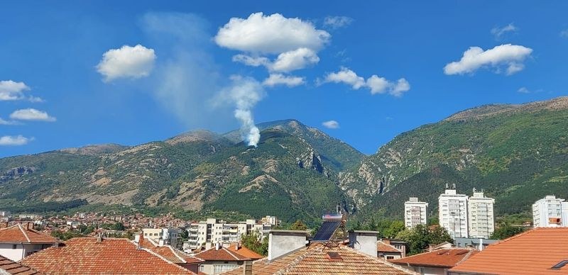 Пожар гори в гората над Карлово