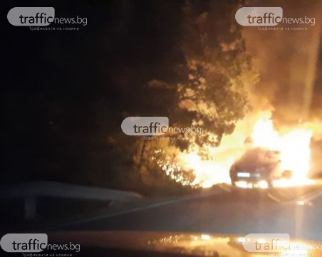 Кола гори на пътя Кърджали-Хасково, подпали се и гората
