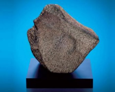 Показаха най-големия марсиански метеорит