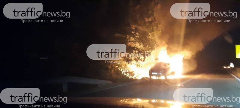 Кола гори на пътя Кърджали-Хасково, подпали се и гората