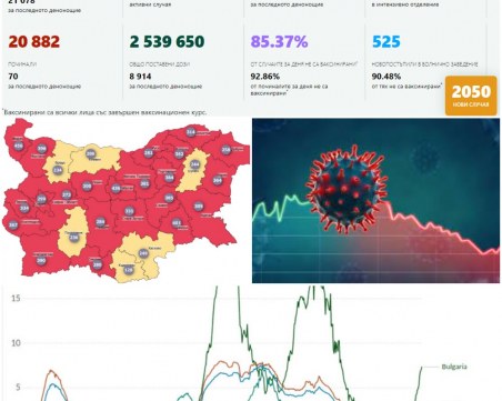 COVID в цифри или как България изкриви статистиката
