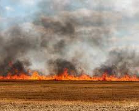 Пламнаха 2000 декара във Великотърновско