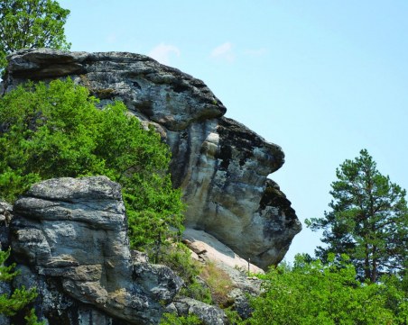 Археолози проучват древно селище на 6000 години край село Дъбница