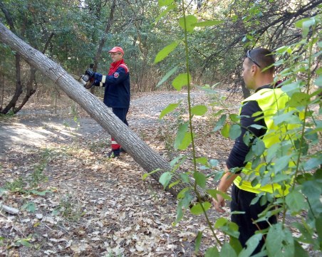 Доброволци чистят Лаута днес!