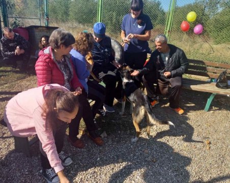 Деца, кучета и приятели на животните празнуваха рожден ден в общинския приют
