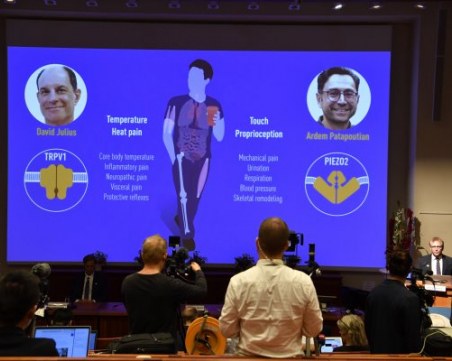 Откривателите на рецептори за температура и допир с Нобелова награда по медицина