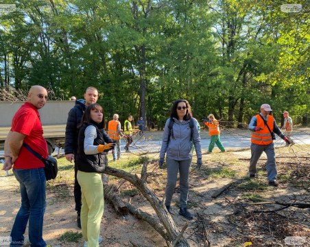След Мисия Лаута: Извозиха 25 камиона с изсъхнали дървета от парка
