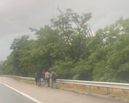 Спипаха нелегални мигранти и каналджии в Бургаско