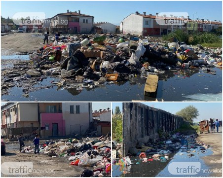Деца се ровят сред животински трупове, смрад и зараза се носи до Руския пазар