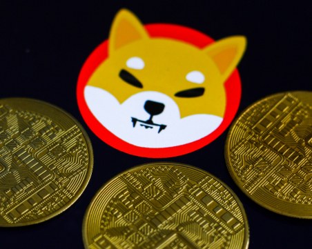 Невероятен ръст! Криптовалутата шиба ину вече е 12-а по пазарна капитализация