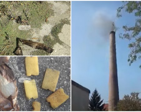 След публикация на TrafficNews: РИОСВ подхвана завода 