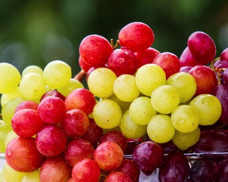 Удължават срока на мерките в лозаро-винарския сектор