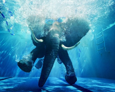 Български софтуер спечели награда Emmy