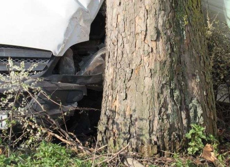 Млад мъж заби колата си в дърво край Пазарджик, почина намясто