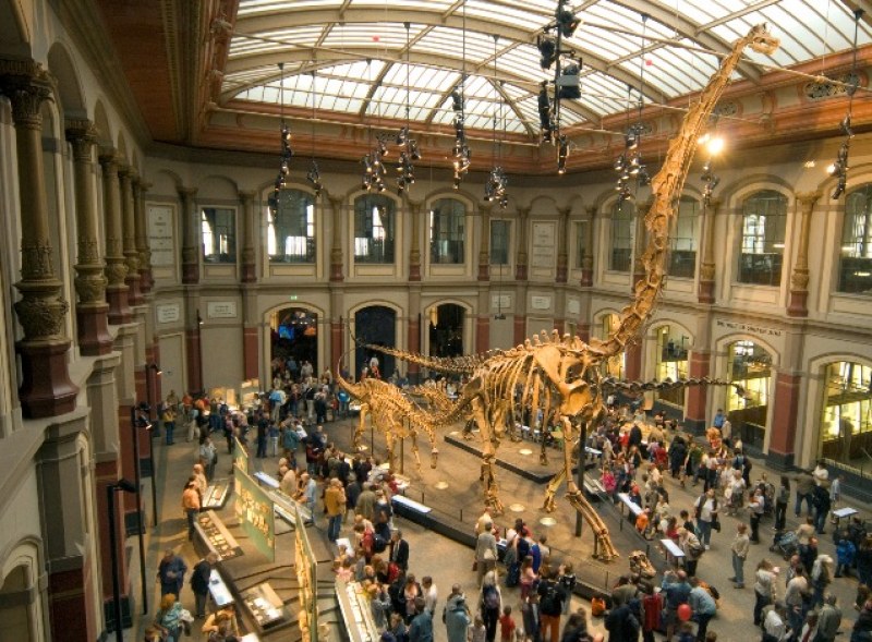 10 000 ученици влизат в клас в музеи и галерии