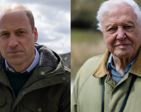 Раздават тази вечер първата награда в света за опазване на околната среда