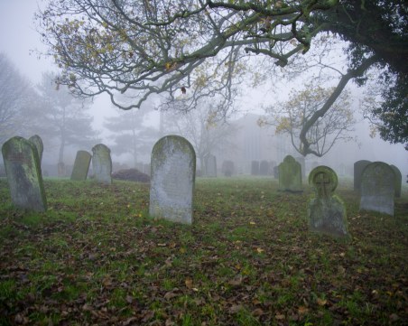 Повишила ли се е смъртността в Пловдив и страната?