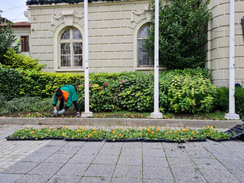 Идва есента: Стотици хиляди теменужки и парички засаждат в Пловдив