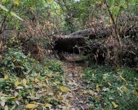 След дъждовете: Районът между ул. 