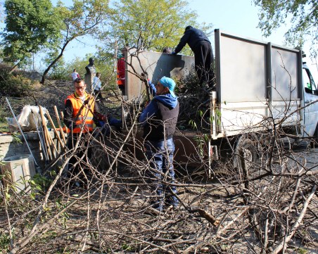 Извозиха 10 камиона със сухи клони и шума от Сахат тепе