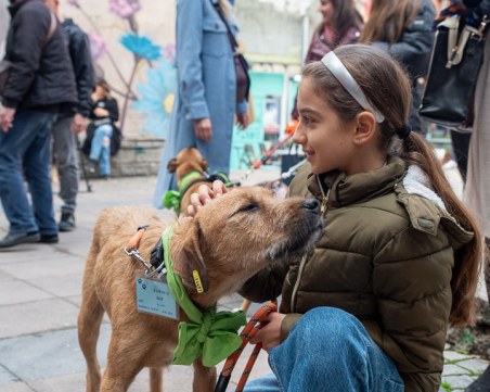 Кученцата от общинския приют ни очакват днес в 