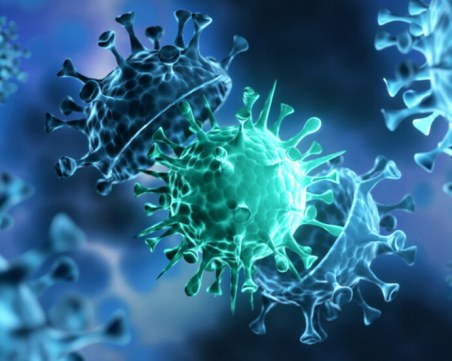 Има две хипотези за произхода на коронавируса според разсекретен доклад на САЩ