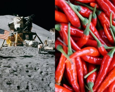 Показаха първите люти чушки, отгледани в Космоса