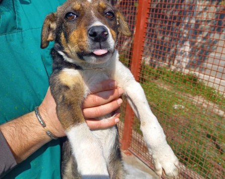 И футболистите на 