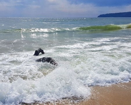 Морето изхвърли труп на 26-годишен индиец на плажа във Варна