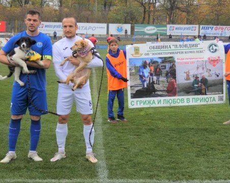 Кученцата от общинския приют в Пловдив донесоха победа на Марица