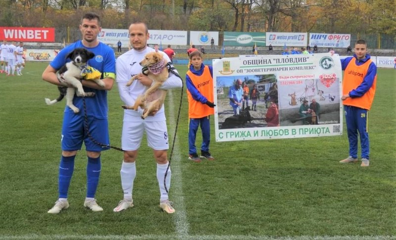 Кученцата от общинския приют в Пловдив донесоха победа на Марица