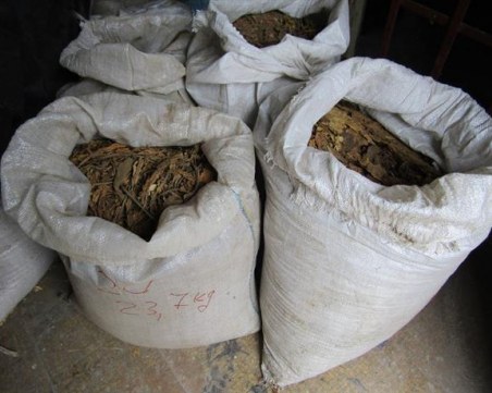 Мощна акция в Пловдив! Полицаи иззеха близо тон нелегален тютюн, последваха серия арести