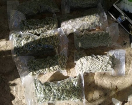 Полиция нахлу в апартамент в центъра на Пловдив, откриха над половин килограм дрога у две момичета