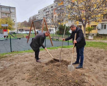 Засадиха дръвчета около нова детска площадка в 