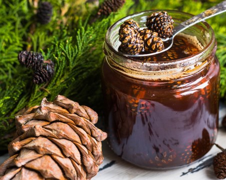 За здраве и тонус: Мед от борови шишарки