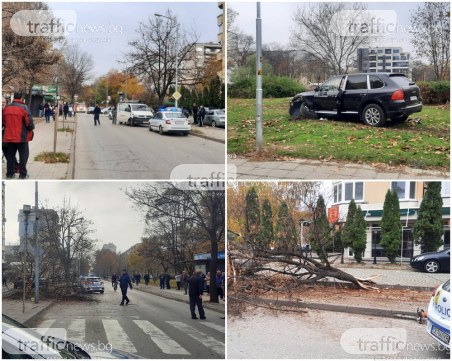 Меле в Кючука: Порше се вряза в дърво и стълб, водачът е избягал, а трима са пострадали