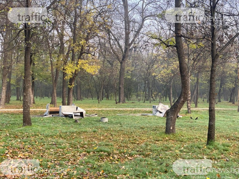 Вандали са изпотрошили част от барбекютата в пловдивския парк Лаута.
