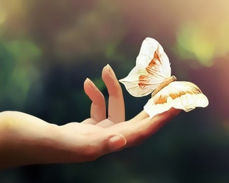 Седем тайни на щастието според атонските монаси